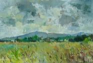 Leith Hill from Betchworth