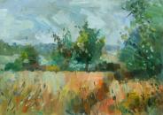 Meadows  from Polesden Lacy