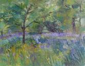 Bluebells at  Pembroke Lodge  gardens