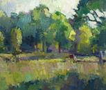 Richmond Park